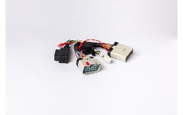 Driver·i Adapter Cable for RP1226 Port