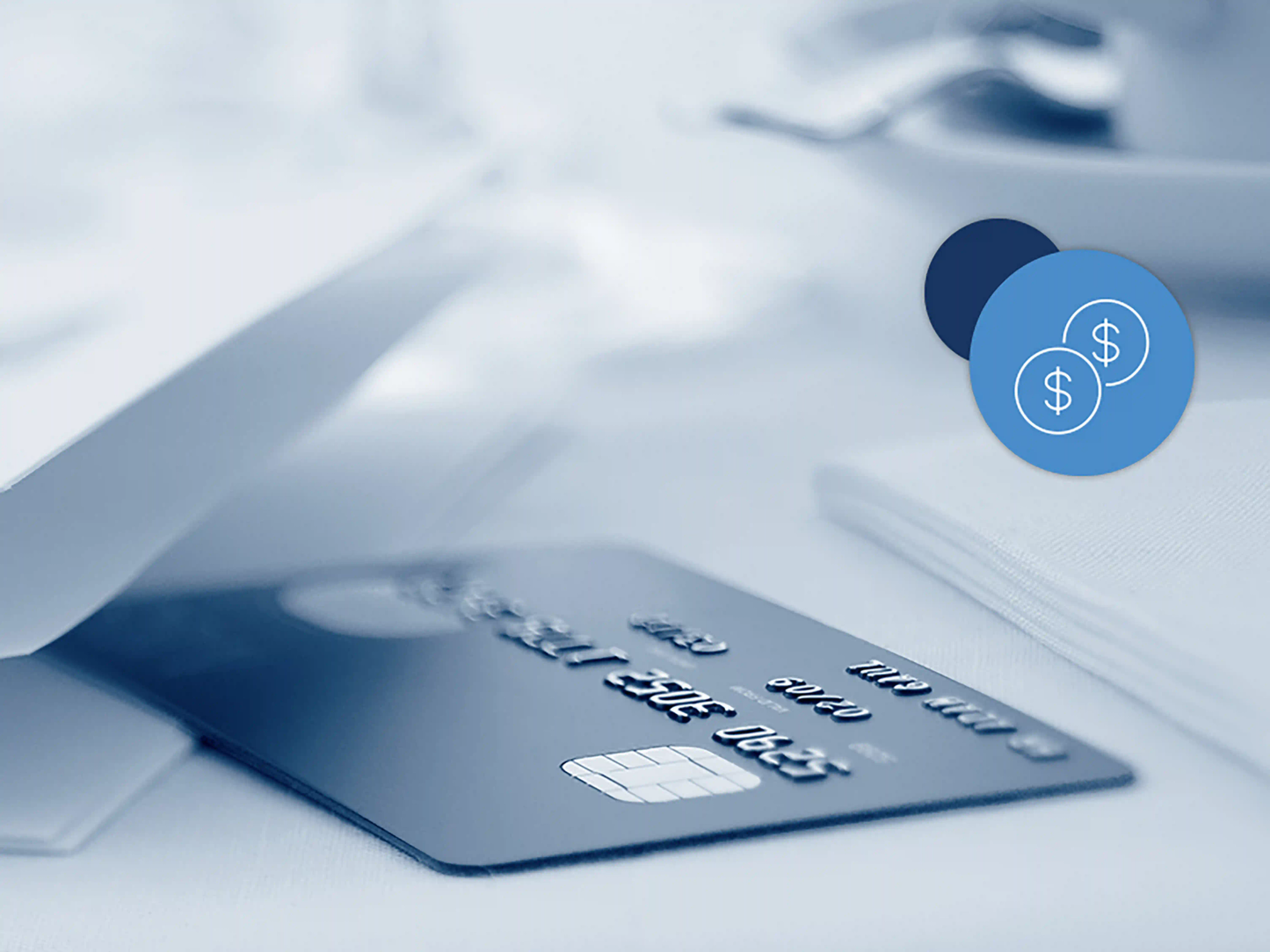 Credit Card Processing Fees